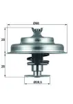 MAHLE Termostaat,  Jahutusvedelik BEHR TX 75 80D