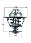 MAHLE Termostaat,  Jahutusvedelik BEHR TX 77 88D