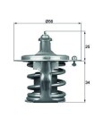 MAHLE  Termostaat,Jahutusvedelik TX 79 78D