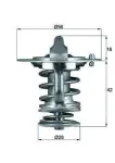 MAHLE Termostaat,  Jahutusvedelik BEHR TX 83 76D