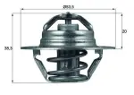 MAHLE Termostaat,  Jahutusvedelik BEHR TX 88 82D