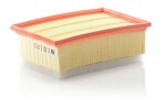 MANN-FILTER Õhufilter C 25 117/2