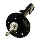 MAXGEAR Amort 11-1169