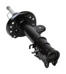 MAXGEAR Amort 11-1555
