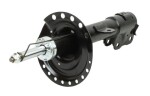 MAXGEAR Amort 11-1641