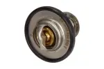 MAXGEAR Termostaat,  Jahutusvedelik 67-0046