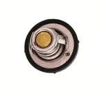 MAXGEAR  Termostaat,Jahutusvedelik 67-0047