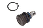 MAXGEAR Kande-/juhtliigend šarniir 69-0801