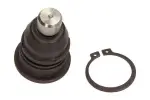 MAXGEAR Kande-/juhtliigend šarniir 72-2976