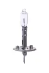 MAXGEAR  Hõõgpirn H1 12V 55W 78-0005