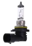 MAXGEAR  Hõõgpirn HB4 12V 51W 78-0015