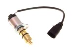 MAXGEAR Reguleerimisklapp,  kompressor 12V AC130153