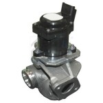 MEAT & DORIA EGR-klapp 88086R