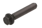 MECDIESEL 390000 / capsulpolt