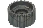 Metalcaucho Hammasratas,  jagajavõll 05478
