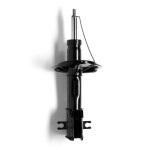 Amort MONROE ORIGINAL (Gas Technology) G16598