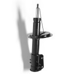 Amort MONROE ORIGINAL (Gas Technology) G16665