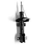 Amort MONROE ORIGINAL (Gas Technology) G16725