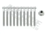 MOTIVE plokikaane poldid komplekt HB1641SET