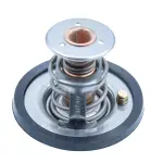 MOTORAD  Termostaat,Jahutusvedelik 424-89K