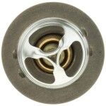 MOTORAD  Termostaat,Jahutusvedelik 646-82K