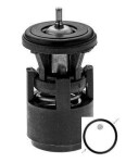 MOTORAD Termostaat,  Jahutusvedelik K385-80