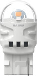 pirn LED WY21W