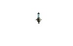 pirn H4 RPB 60/55W 12V 2tk