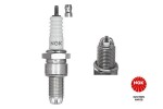 NGK Süüteküünal 1263