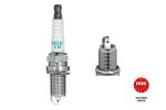 NGK Süüteküünal 3116
