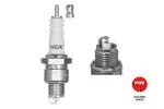 NGK Süüteküünal 4111