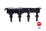 NGK Süütepool 48014