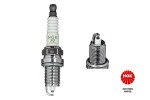 NGK  Süüteküünal 5584