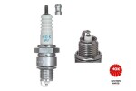 NGK Süüteküünal 6222