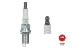 NGK  Süüteküünal 6953