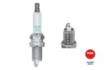 NGK Süüteküünal 8894