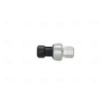 NISSENS Survelüliti,  kliimaseade 5V 301048