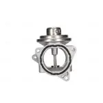 NISSENS EGR-klapp ** FIRST FIT ** 98173
