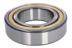 NKE NJ2219-E-MPA-R95&115 / 95x170x43, industrial cylindrical bearing (1pc, temperature range -30/150°c, with brass seat)