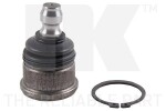 NK  Kande-/juhtliigend 5043204