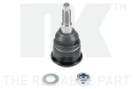 NK 5049304