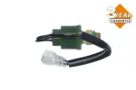 NRF  Survelüliti, kliimaseade EASY FIT 12V 38907