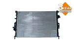NRF Radiaator,  mootorijahutus Economy Class 53811A