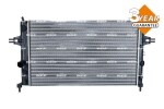 NRF Radiaator,  mootorijahutus Economy Class 54668A
