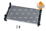 NRF Radiaator,  mootorijahutus Economy Class 56134A