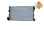 NRF Radiaator,  mootorijahutus Economy Class 58293A