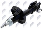 NTY Amort A-CH-048