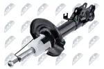 NTY Amort A-FR-037