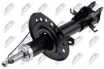 NTY Amort A-NS-041