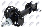 NTY Amort A-PL-000